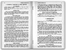 1966 Page 42 43